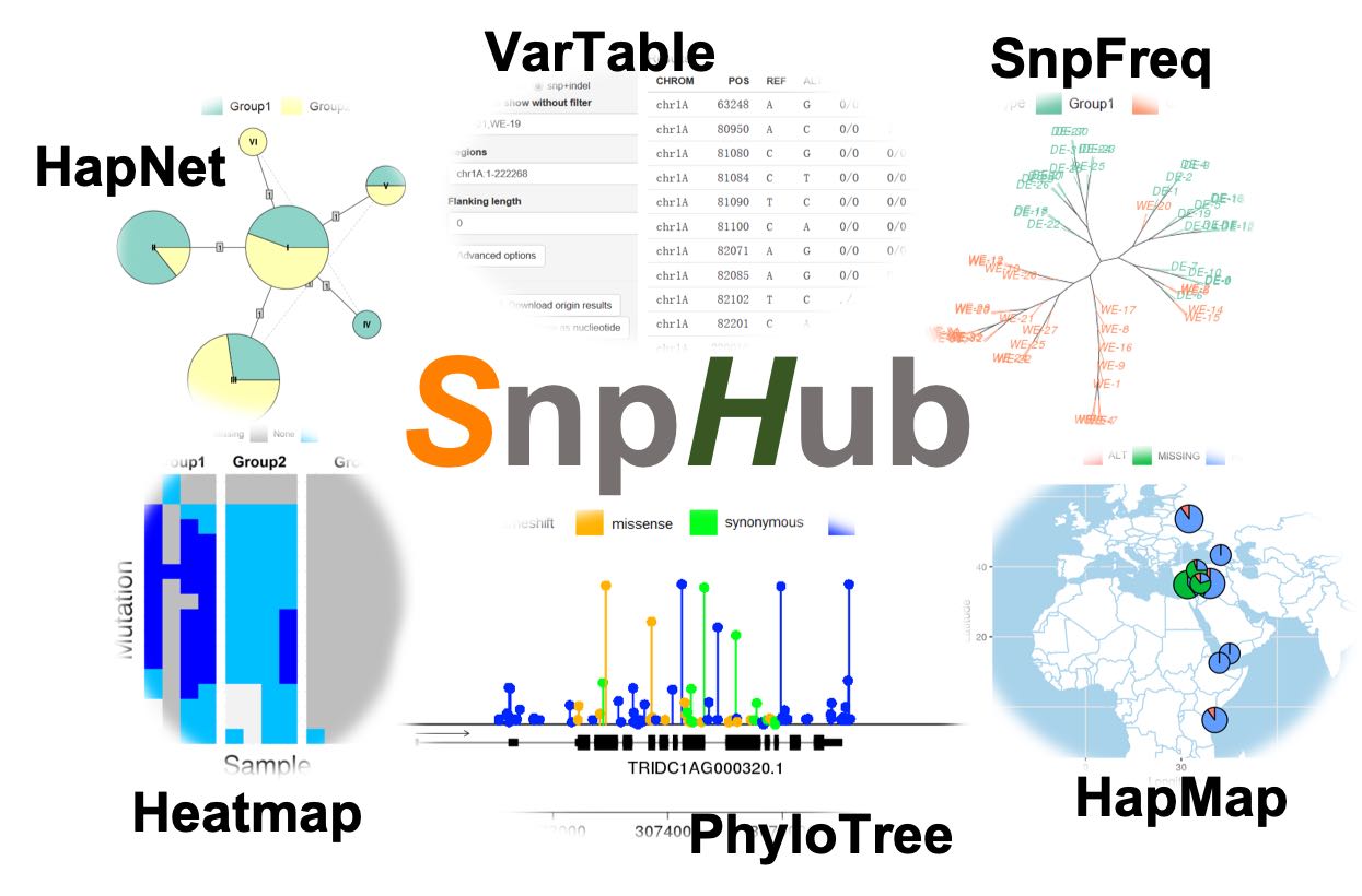 SnpHub logo img